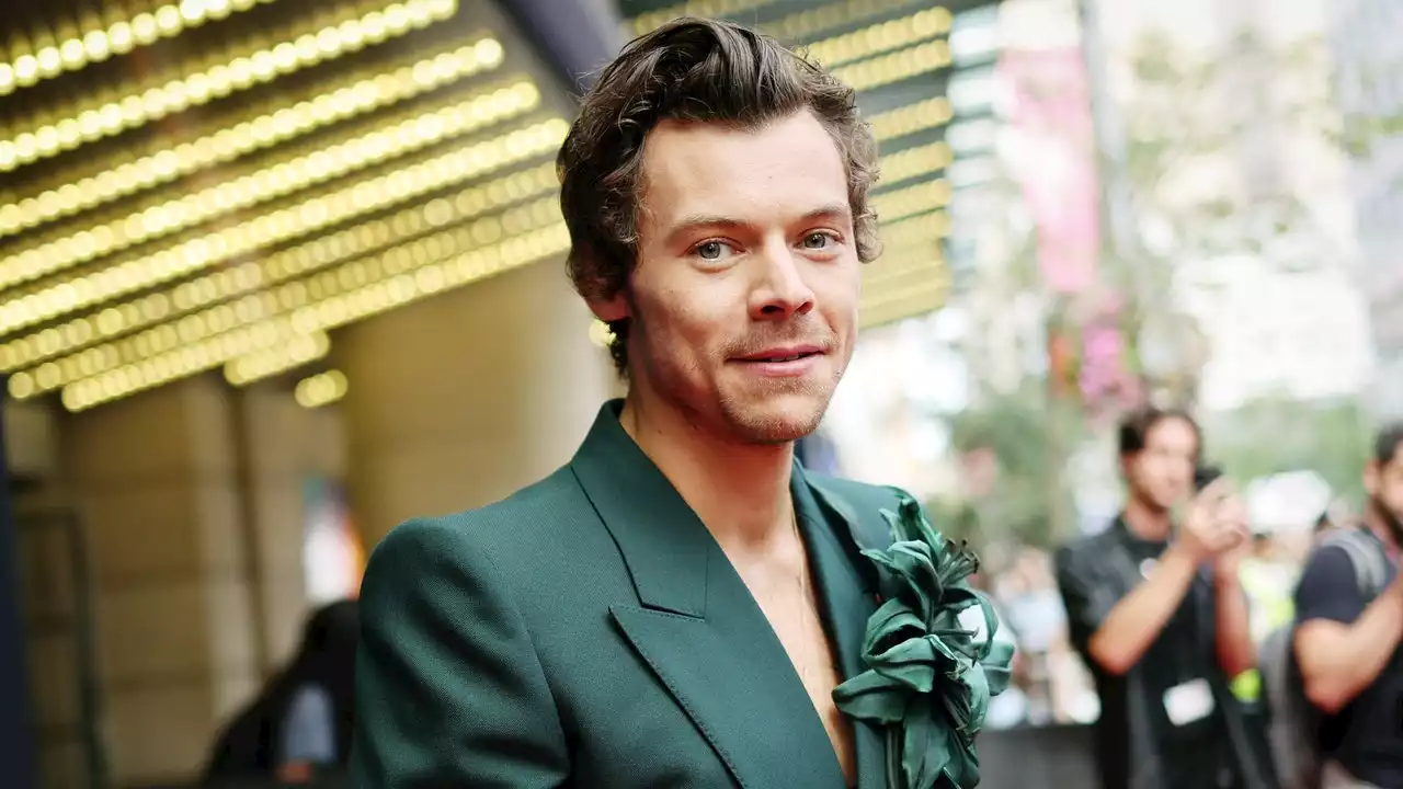 Harry Styles Unveils A Bushy, ‘Cast Away’-Style Beard In His New Music Video