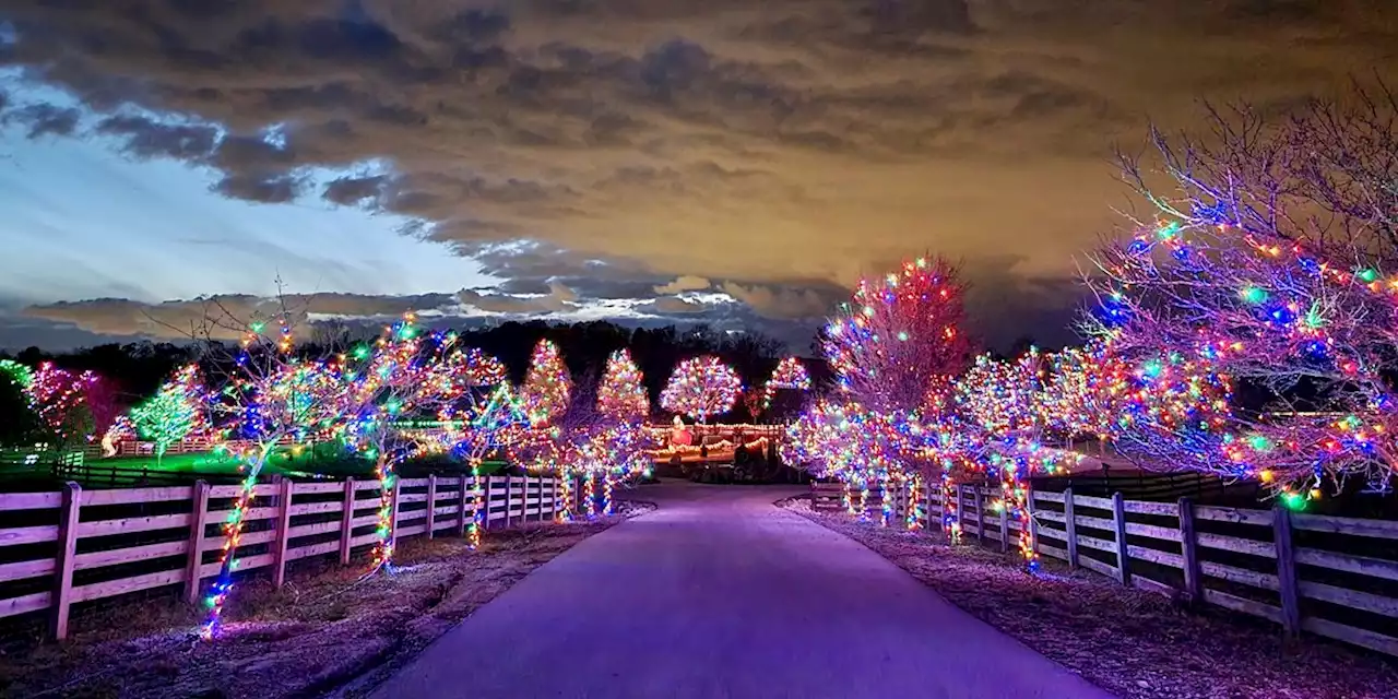 Ticket sales begin this weekend for Country Lights Drive-thru at Lake Metroparks Farmpark