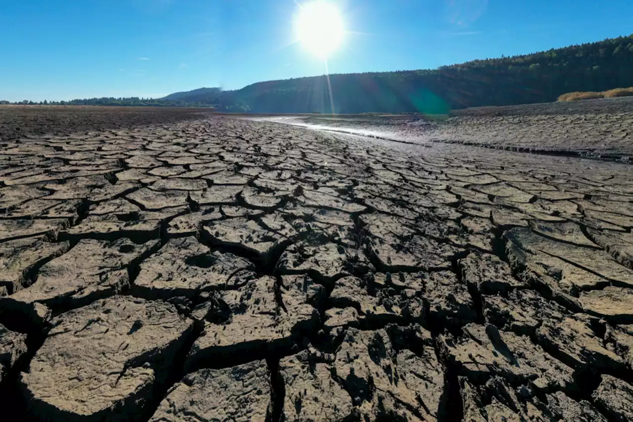 Météo : jusqu'à quand la vague de chaleur va-t-elle durer ?