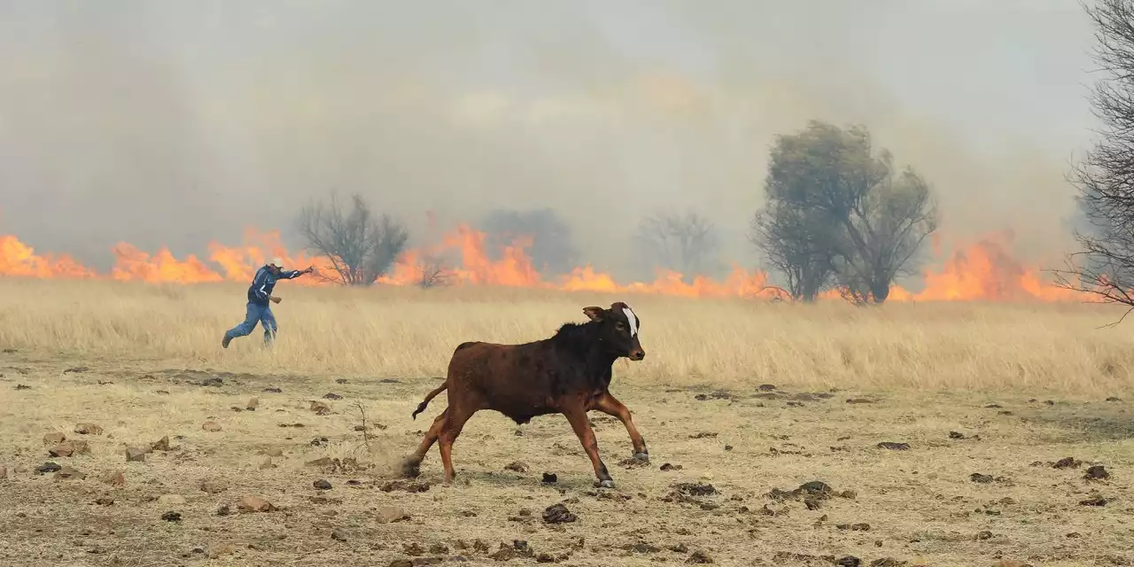 TRIAL BY FIRE: Calls to declare North West a disaster area after devastating blazes ravage farmland