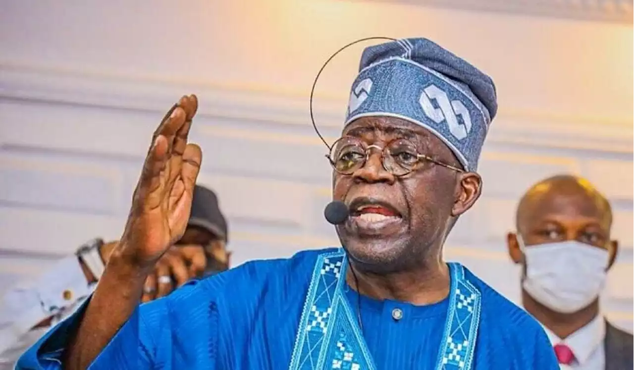 Presidency: My ambition not for personal, selfish interest - Tinubu replies Akintoye