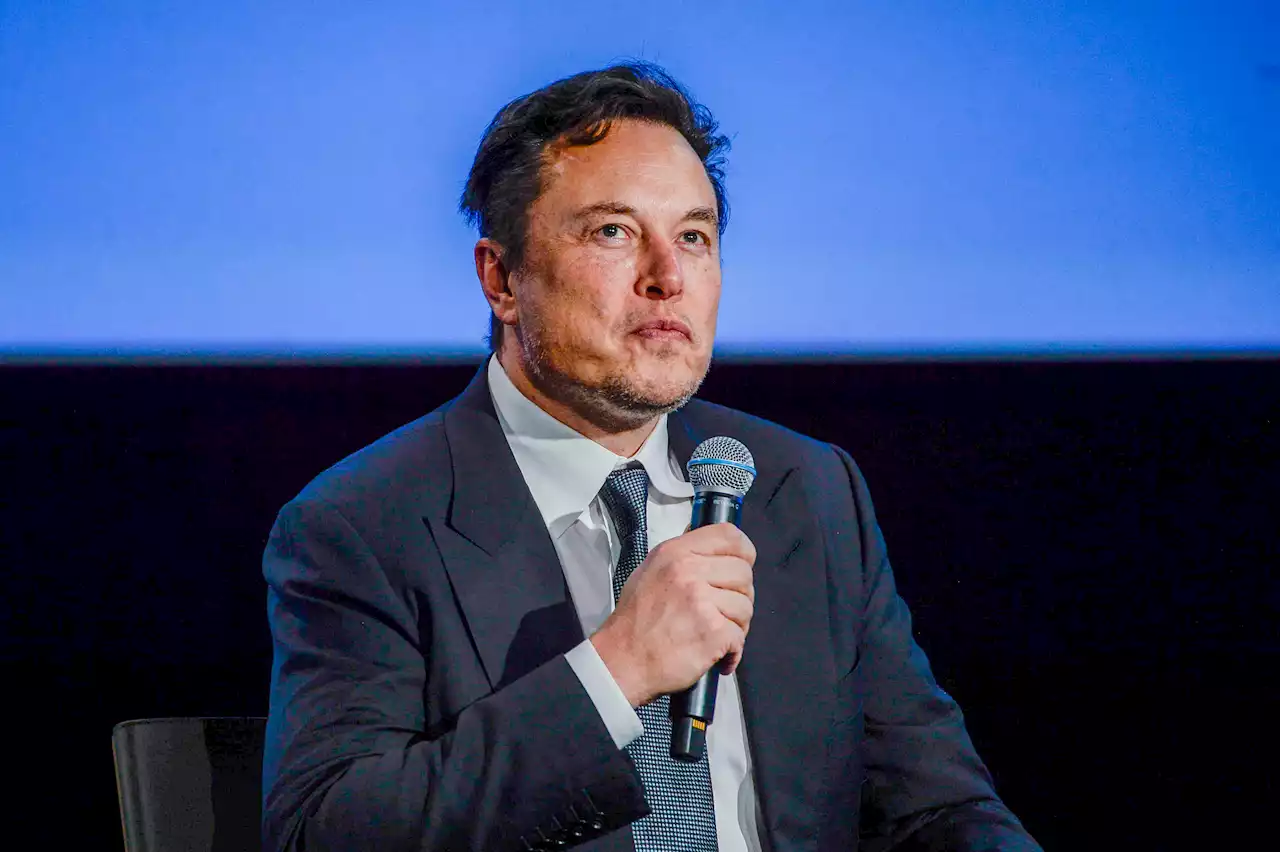 Liberals triggered over Musk letter stating he bought Twitter to ‘help humanity’: ‘Curtains for this place'