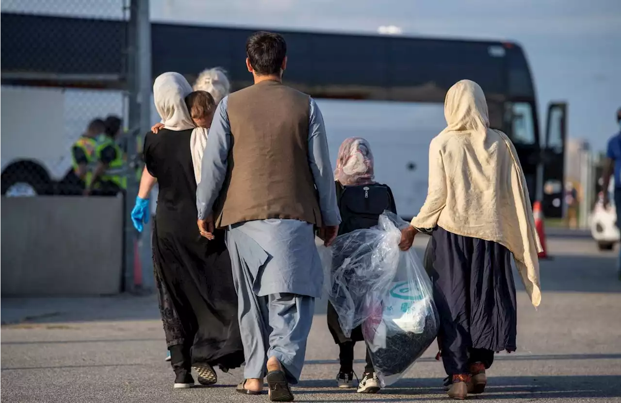 Advocates urge Ottawa to remove quota on Afghan refugee sponsorship program