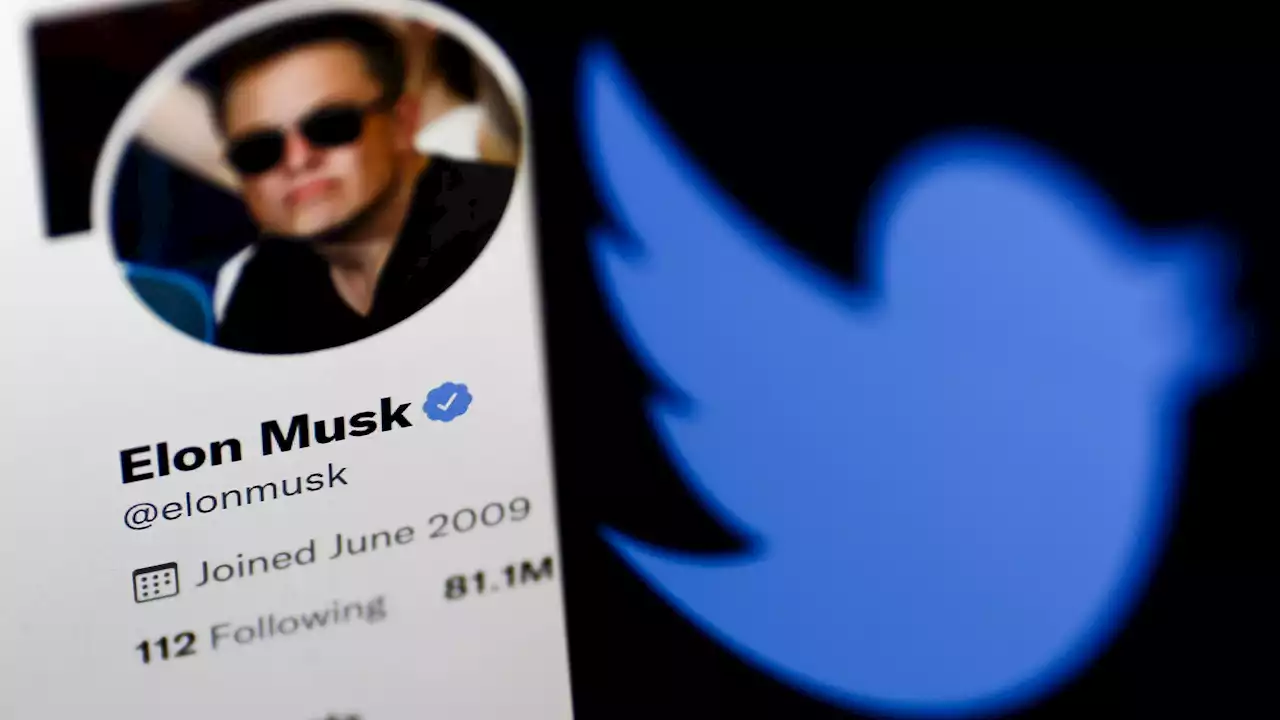 EU-Industriekommissar warnt Musk wegen Twitter-Übernahme: 'In Europa wird der Vogel nach unseren Regeln fliegen'