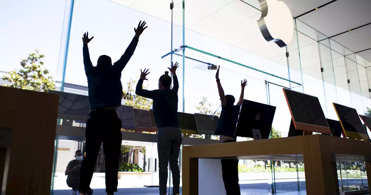 Apple reports revenue and profit rise despite slowing economy