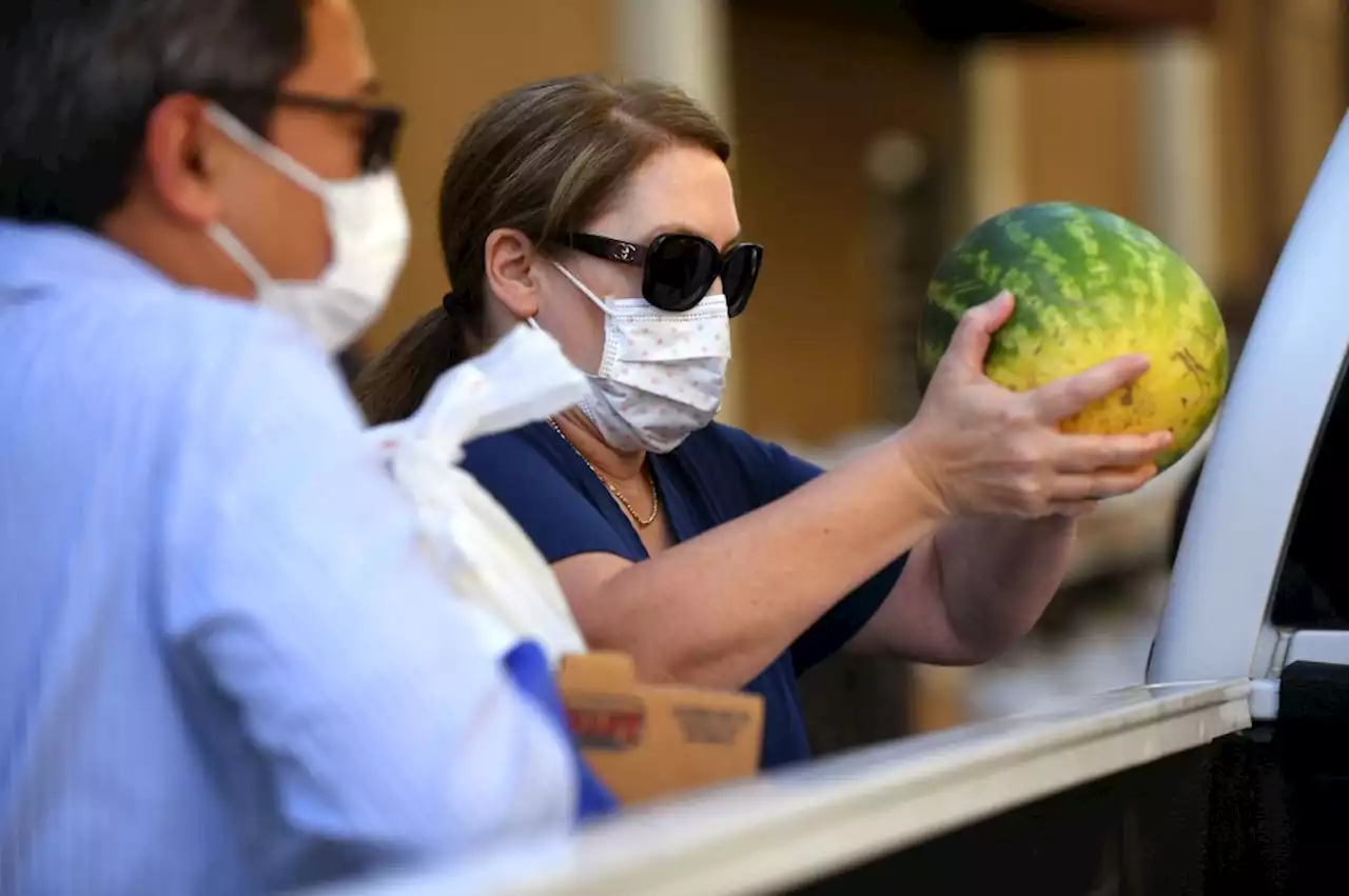 Fresh produce for families in need, and a pumpkin for Halloween