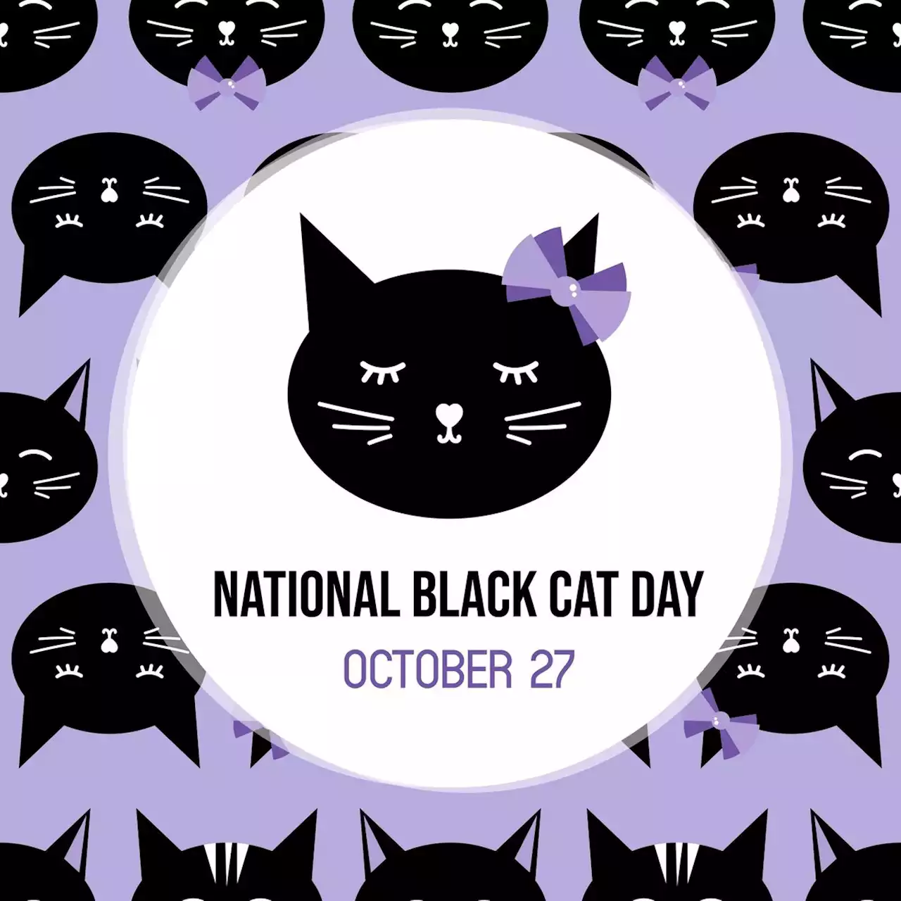 Stating the case for dark felines as treasured pets – National Black Cat Day