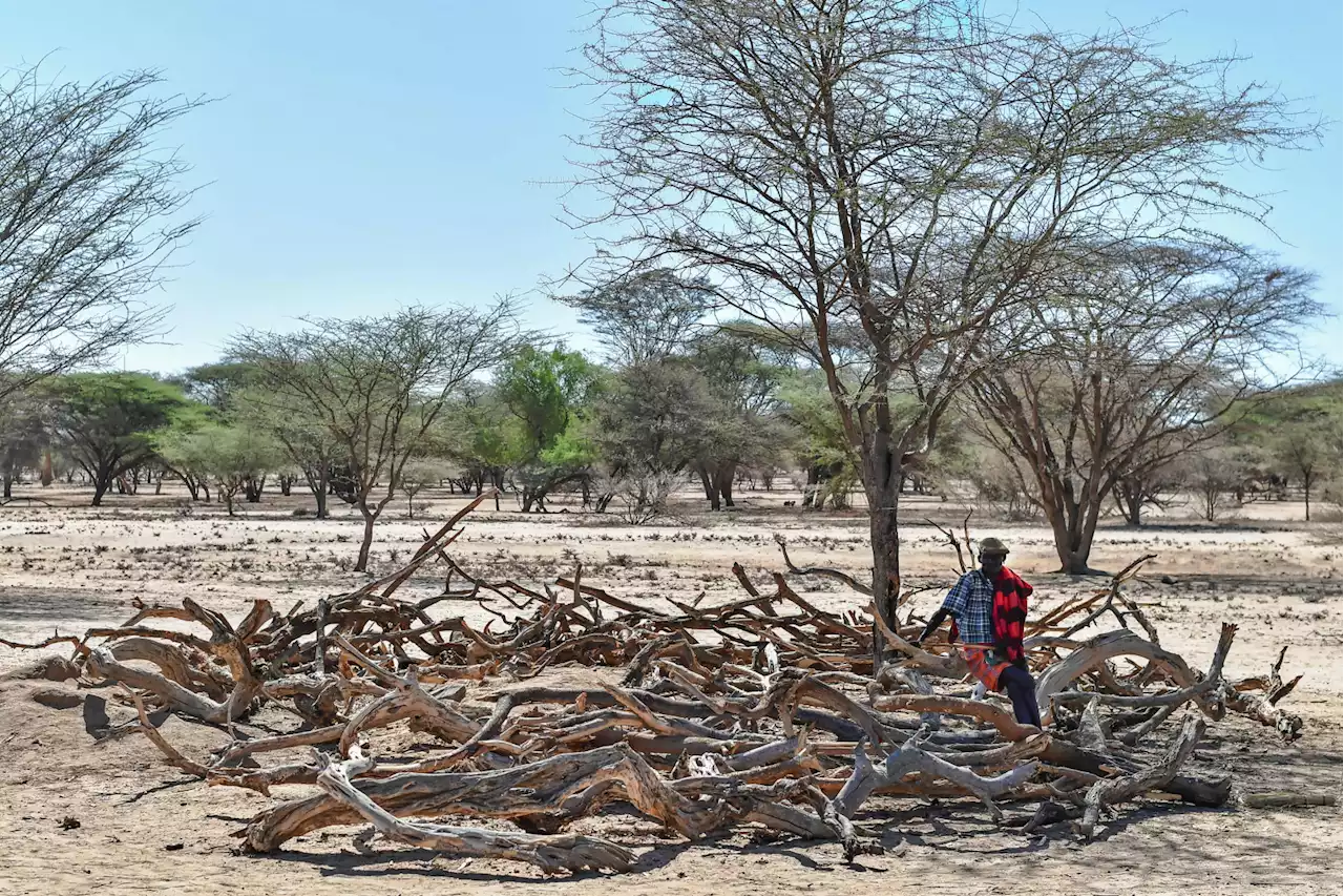 Loss and damage caused by climate crisis must top the COP27 agenda