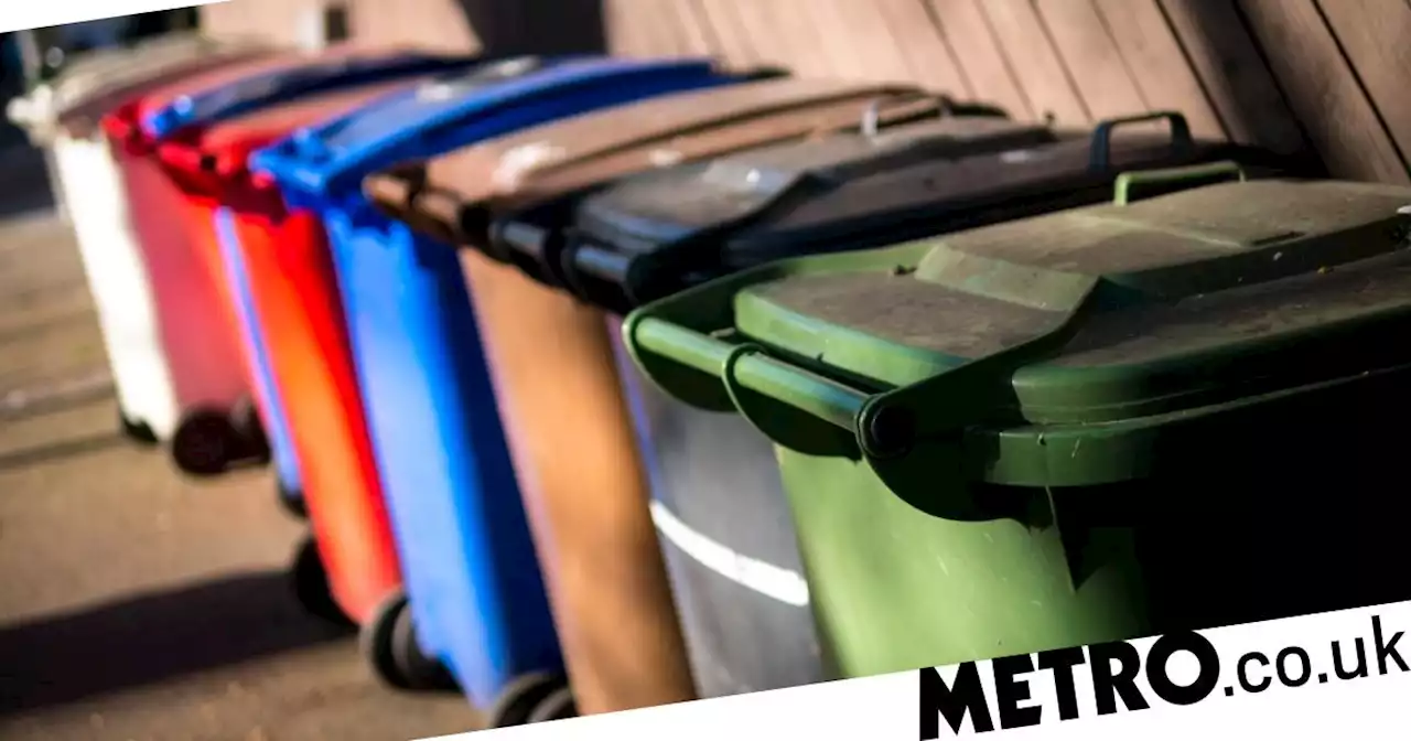 Keep 'your wheelie bins out of reach' this Halloween, warn police