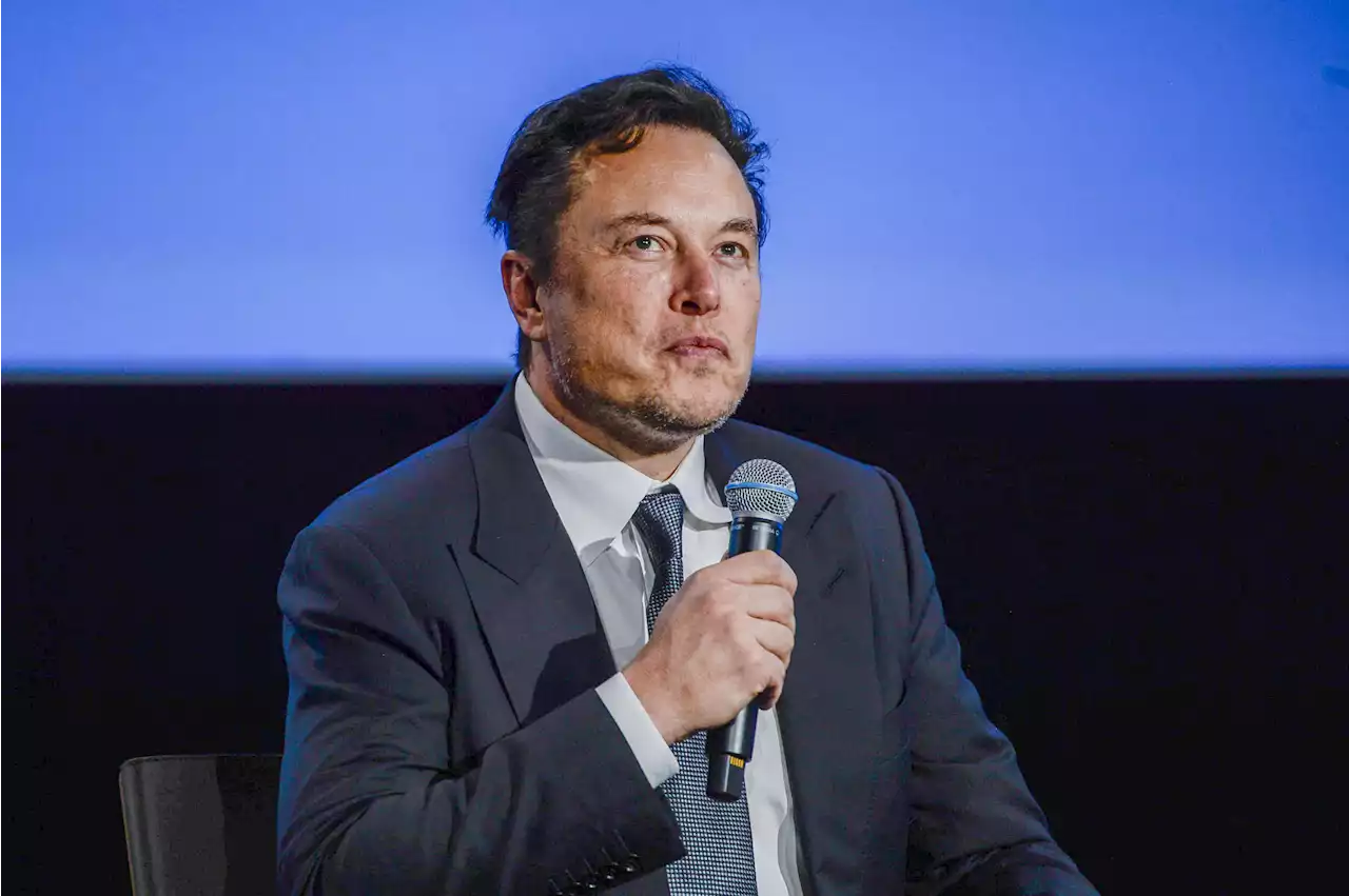 MAGA world rejoices as Elon Musk fires lawyer who banned Trump from Twitter