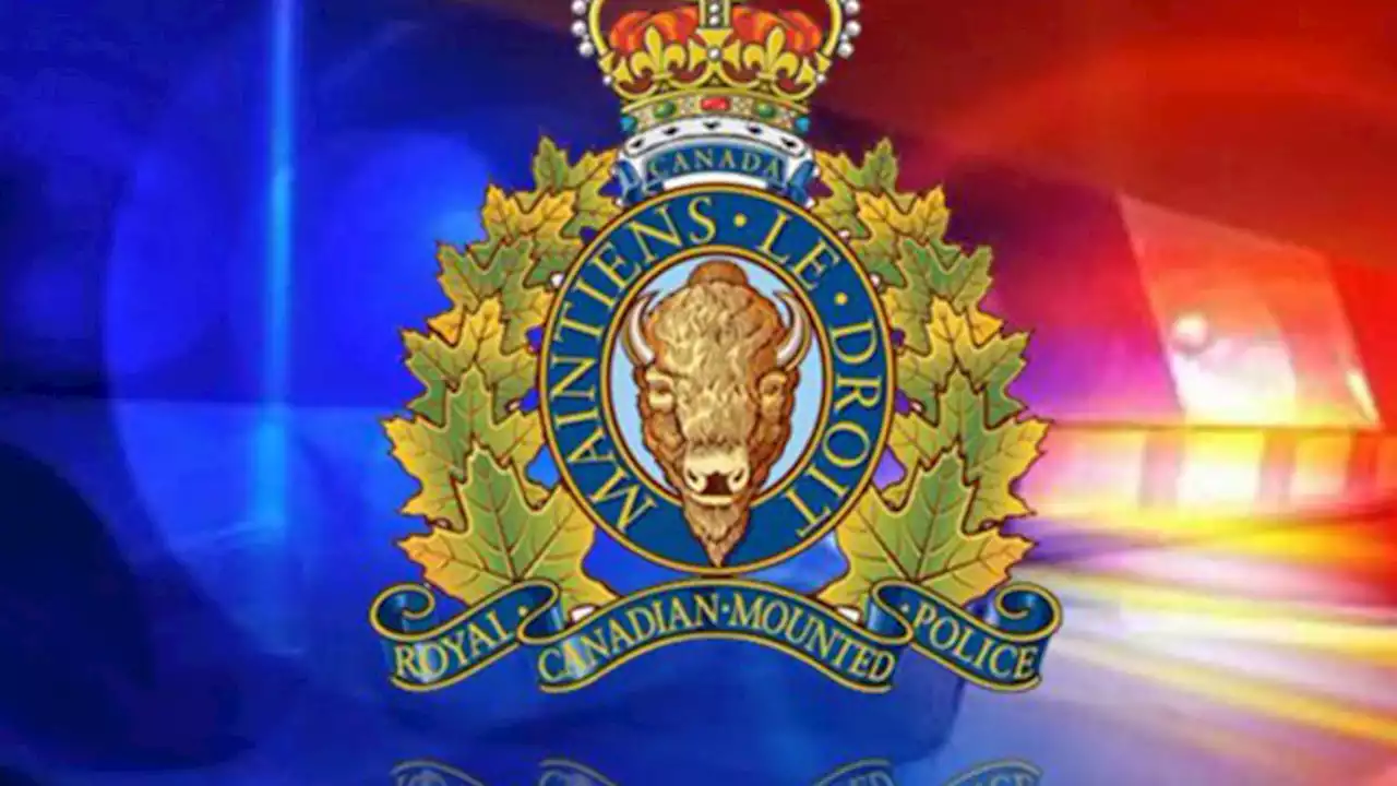 Police investigate fatal collision near Ship Cove