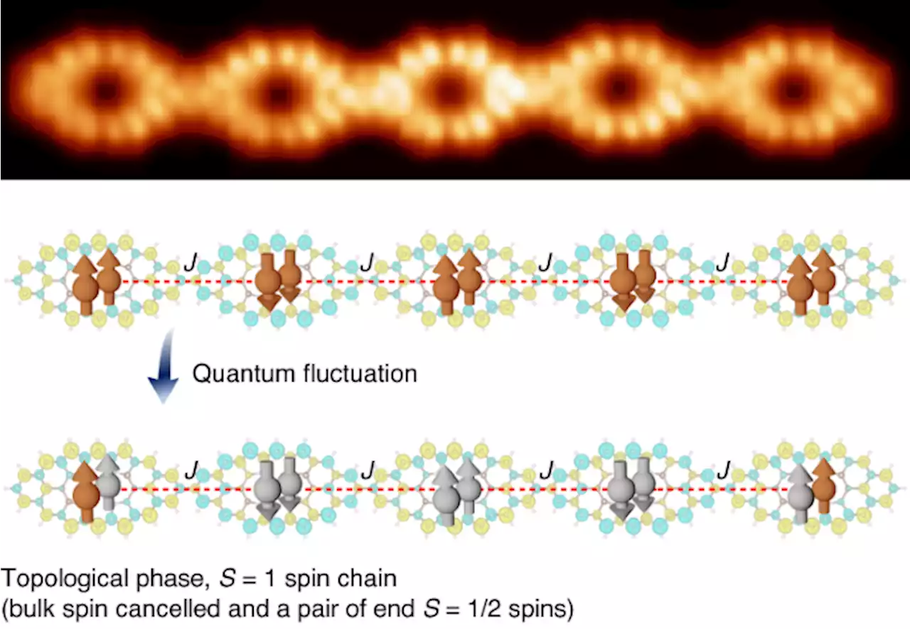 Quantum nanomagnets in on-surface metal-free porphyrin chains - Nature Chemistry