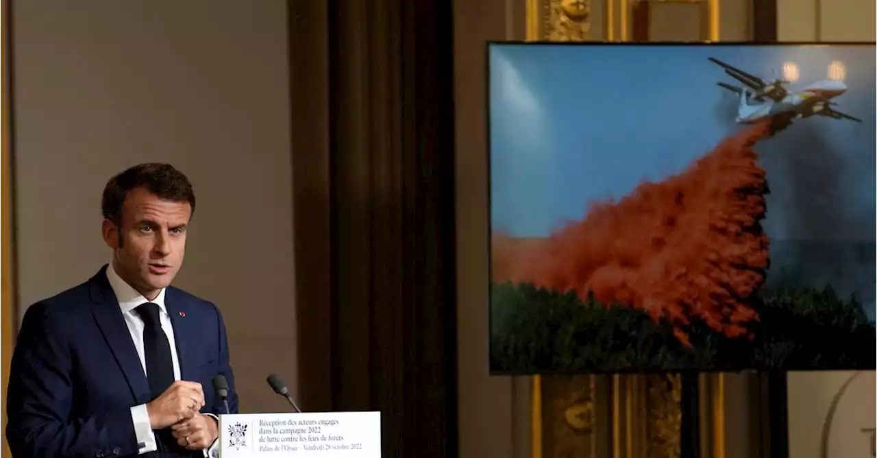 Macron wants to replant 10% of French forest after summer wildfires