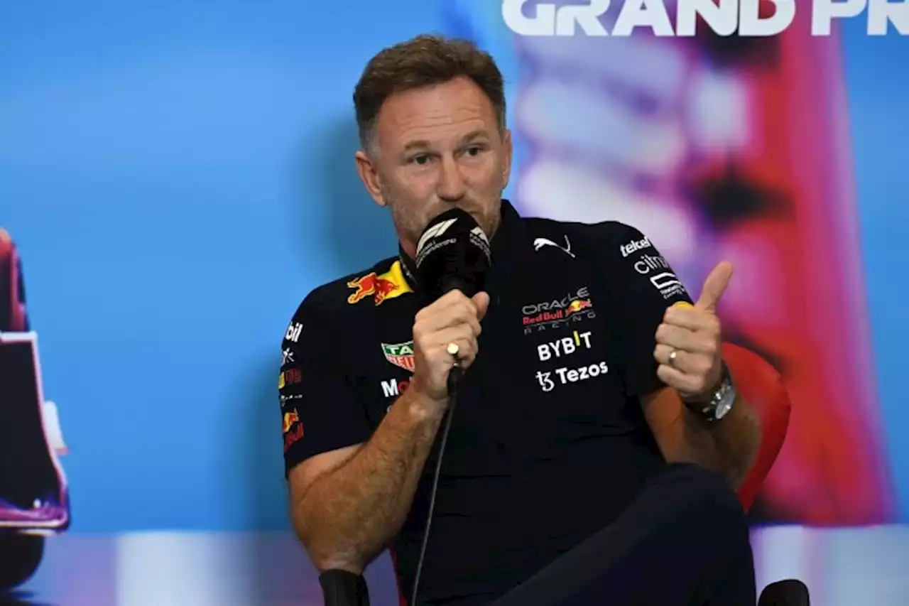 Christian Horner: «Diese Strafe kostet Rundenzeit»