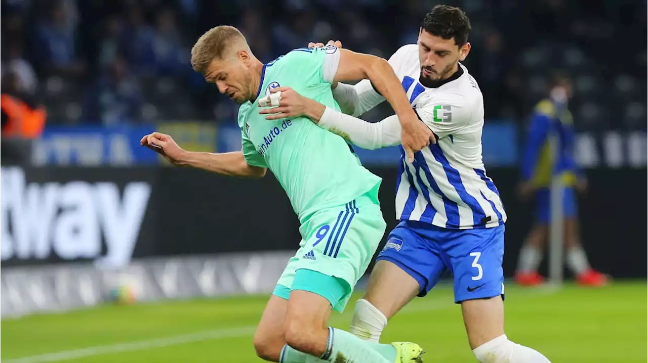 Bundesligaprofi Rogel: Zwischen Hippokrates und Hertha