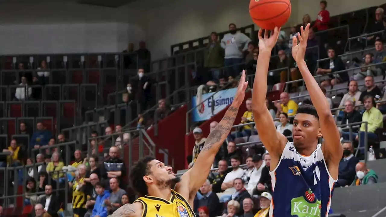 Basketball: Aufsteiger Rostock Seawolves Tabellenerster in der BBL