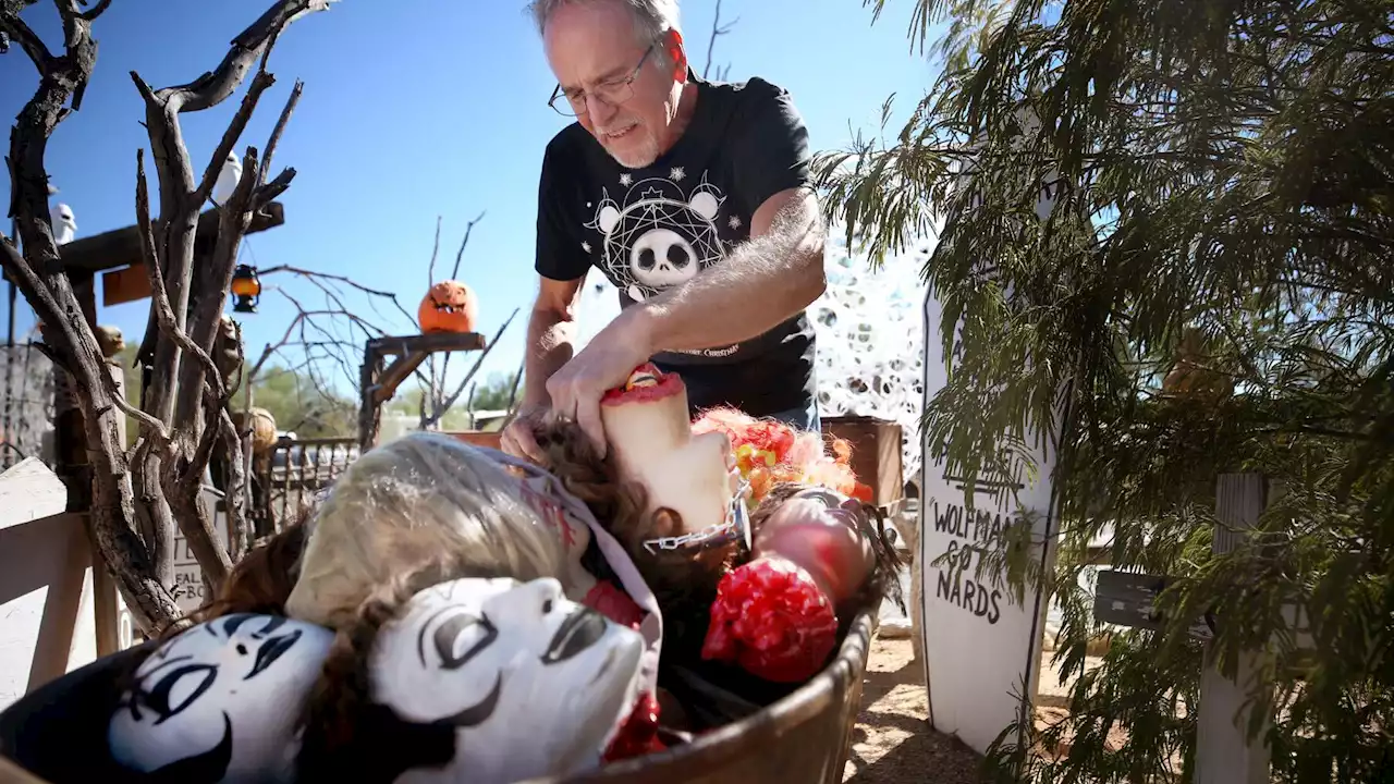 Tucson couple's horrible yard scares up money for charity