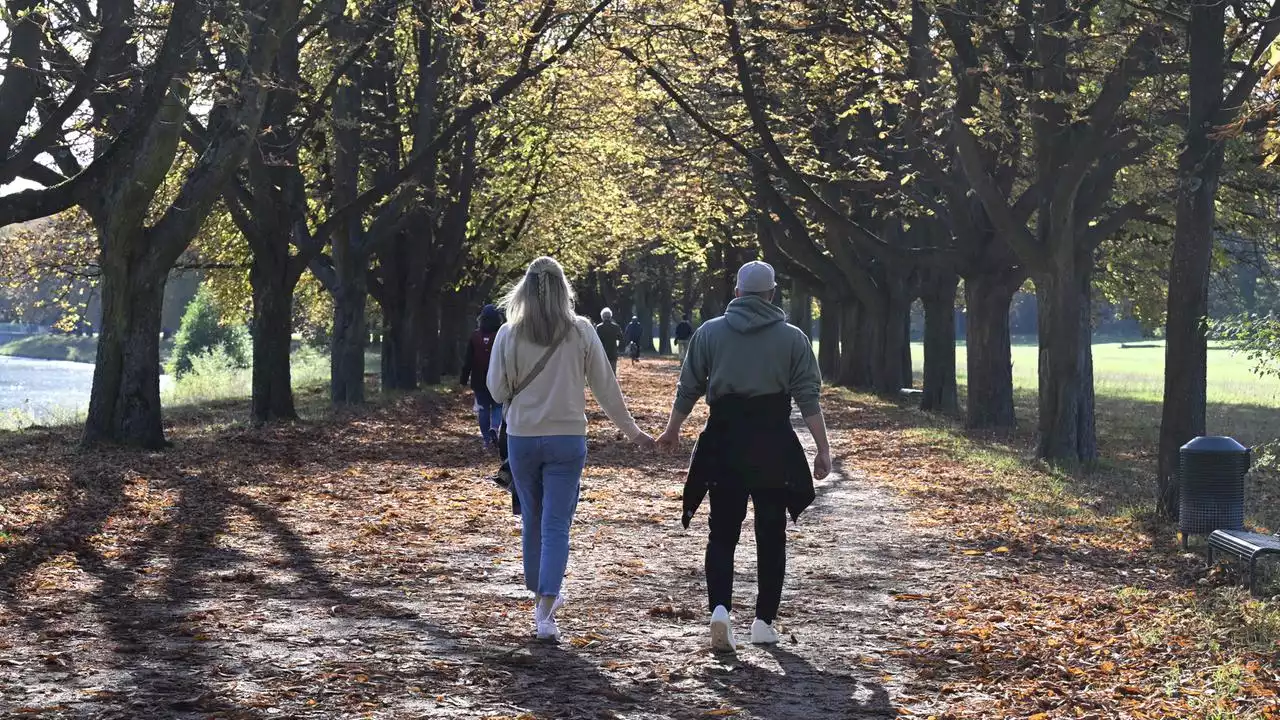 Ungewöhnlich mild: Sommer im Oktober: Wie kommt das?