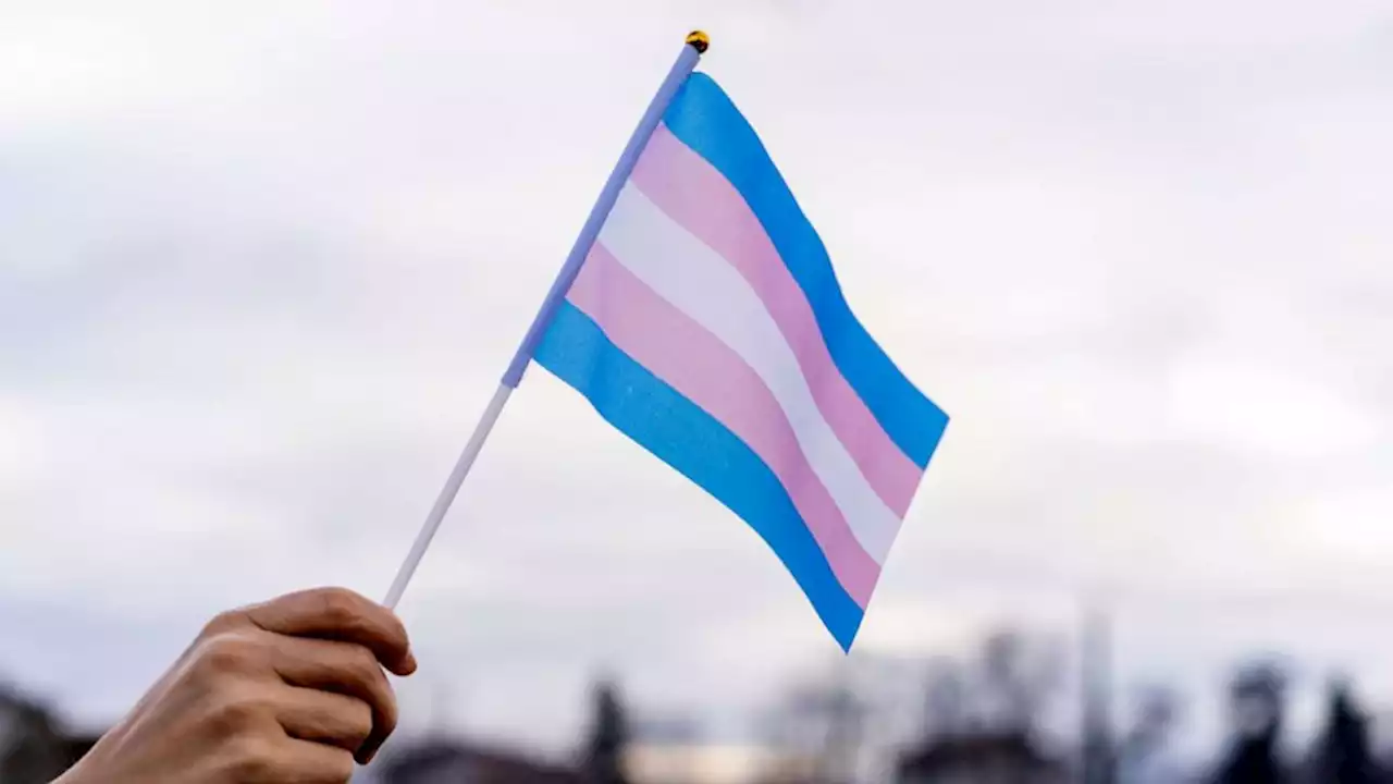 Trans care ban backed by Florida medical board