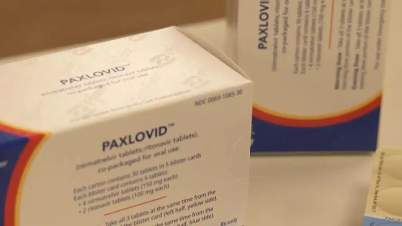 CDC: black, Hispanic patients less likely to receive paxlovid COVID-19 treatment than white patients