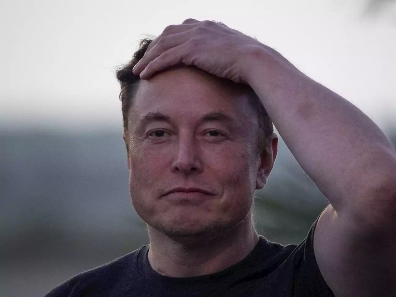 Elon Musk is R145 billion poorer after taking control of Twitter | Businessinsider