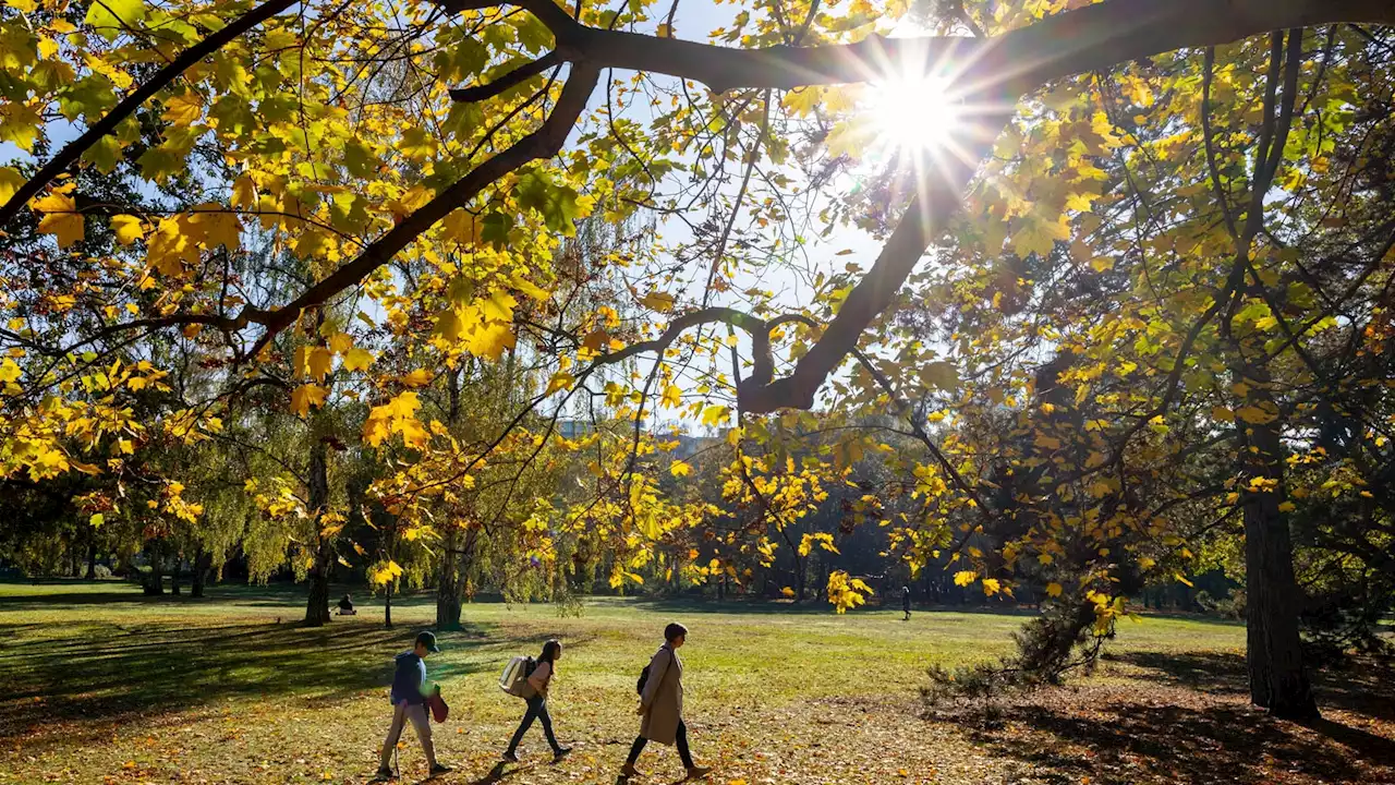 Fast wie Sommer! Bis zu 24 Grad in Brandenburg und Berlin