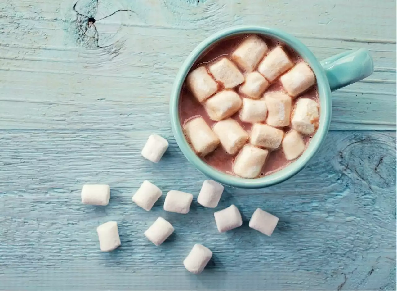 7 Hot Chocolate Brands Made With the Lowest Quality Ingredients — Eat This Not That