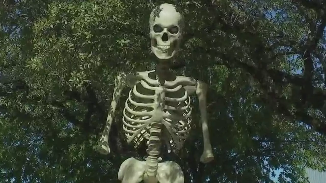 12-foot stolen Halloween skeleton replaced by creator in Northwest Austin