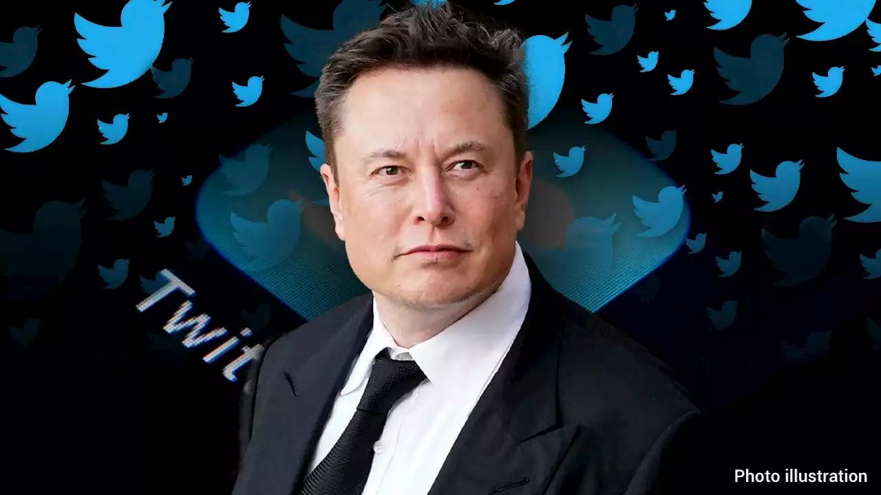 Elon Musk on Twitter Day 1 says he'll be 'digging in' to shadow banning allegations