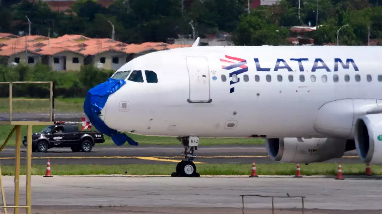 Video shows terrifying scenes from South American nightmare flight