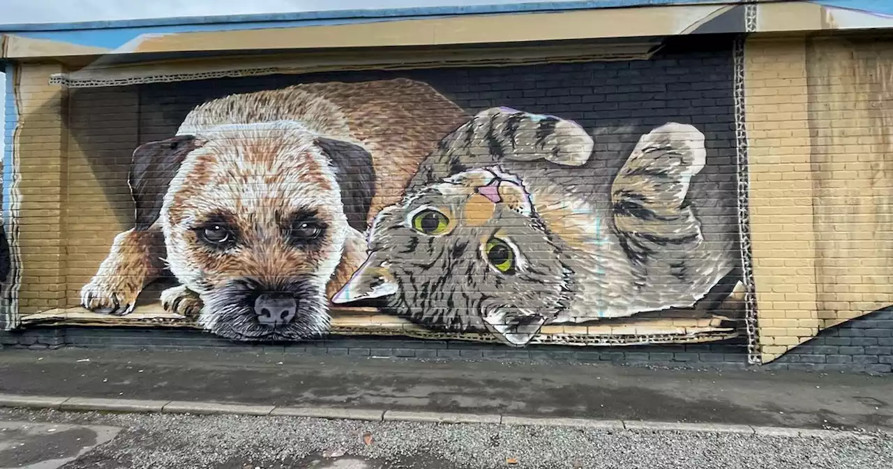 Glasgow graffiti artist Rogue One creates new mural outside east end vet centre