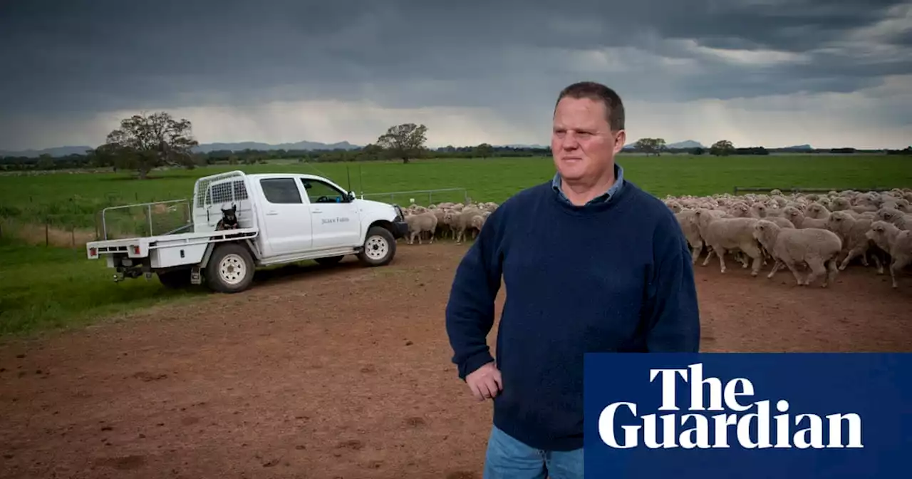 ‘Fix the faults’: Coles criticised for using carbon credits from controversial project