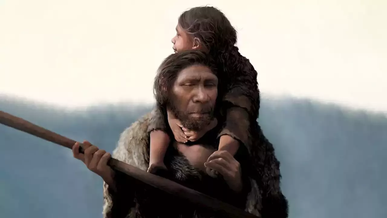 Researchers Reveal The First Neanderthal Family In Largest Known ...