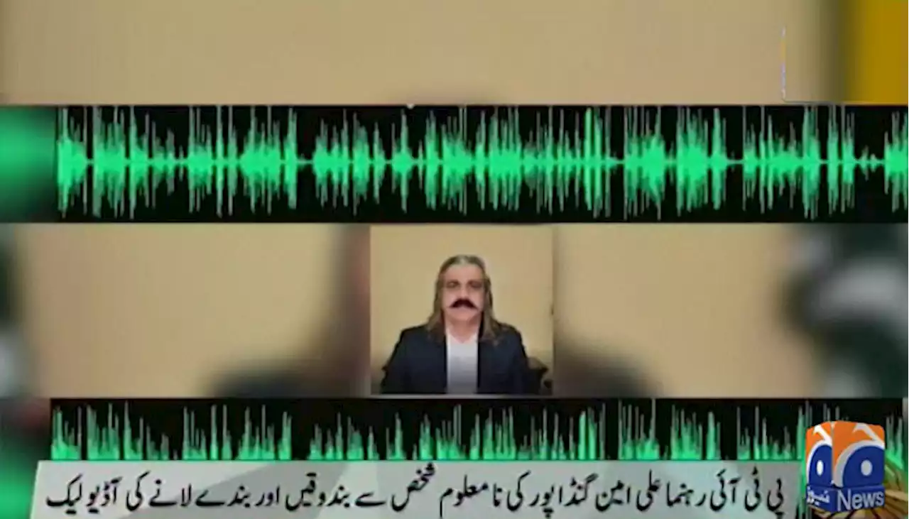 علی امین گنڈاپور کی بندوقیں اور بندے لانے کی مبینہ آڈیو لیک کا متن