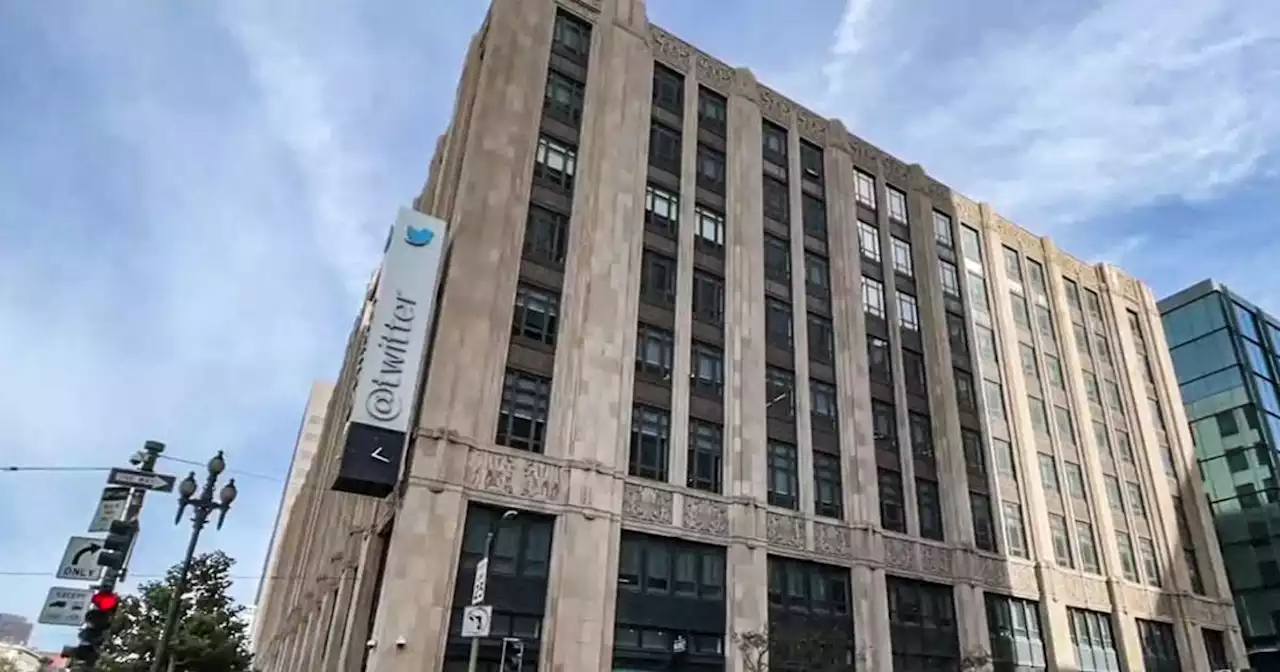 Twitter employees uncertain yet hopeful following Musk takeover