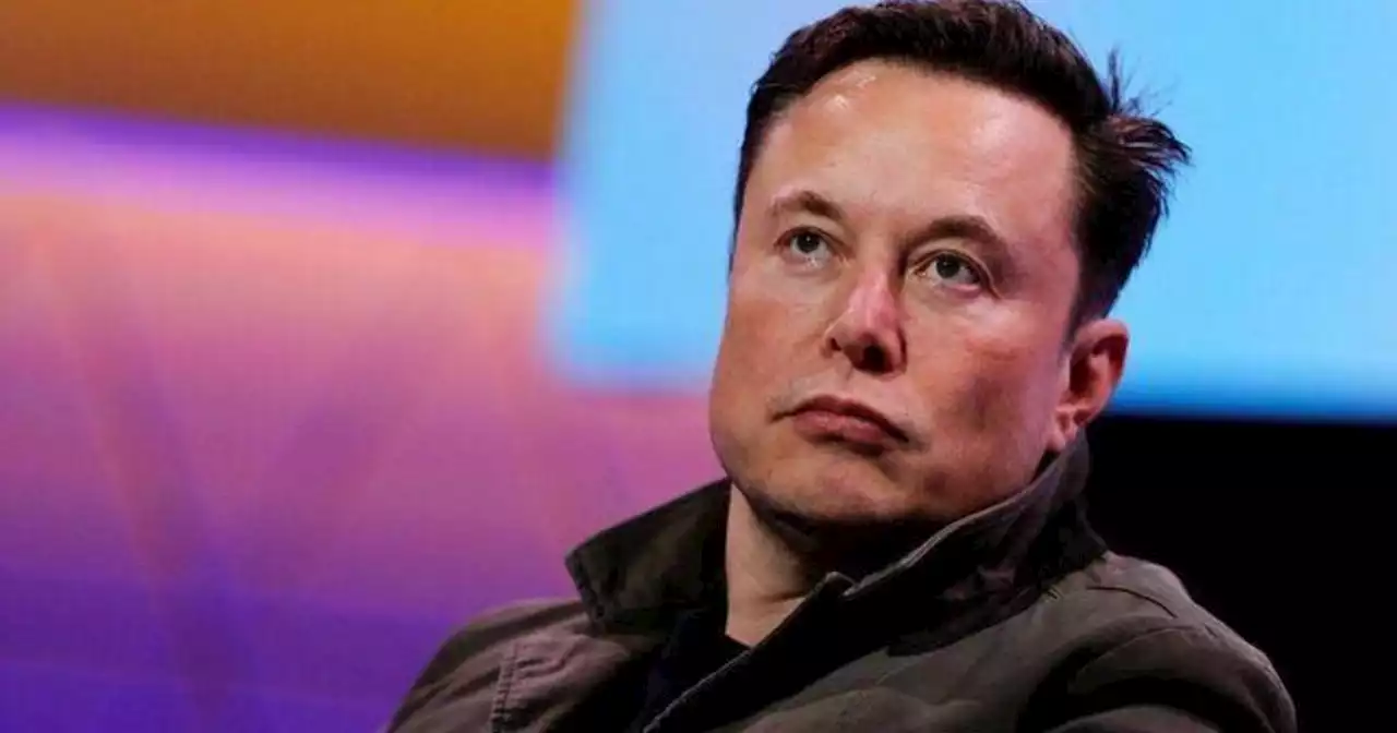 Users begin testing chaos as Elon Musk takes over Twitter