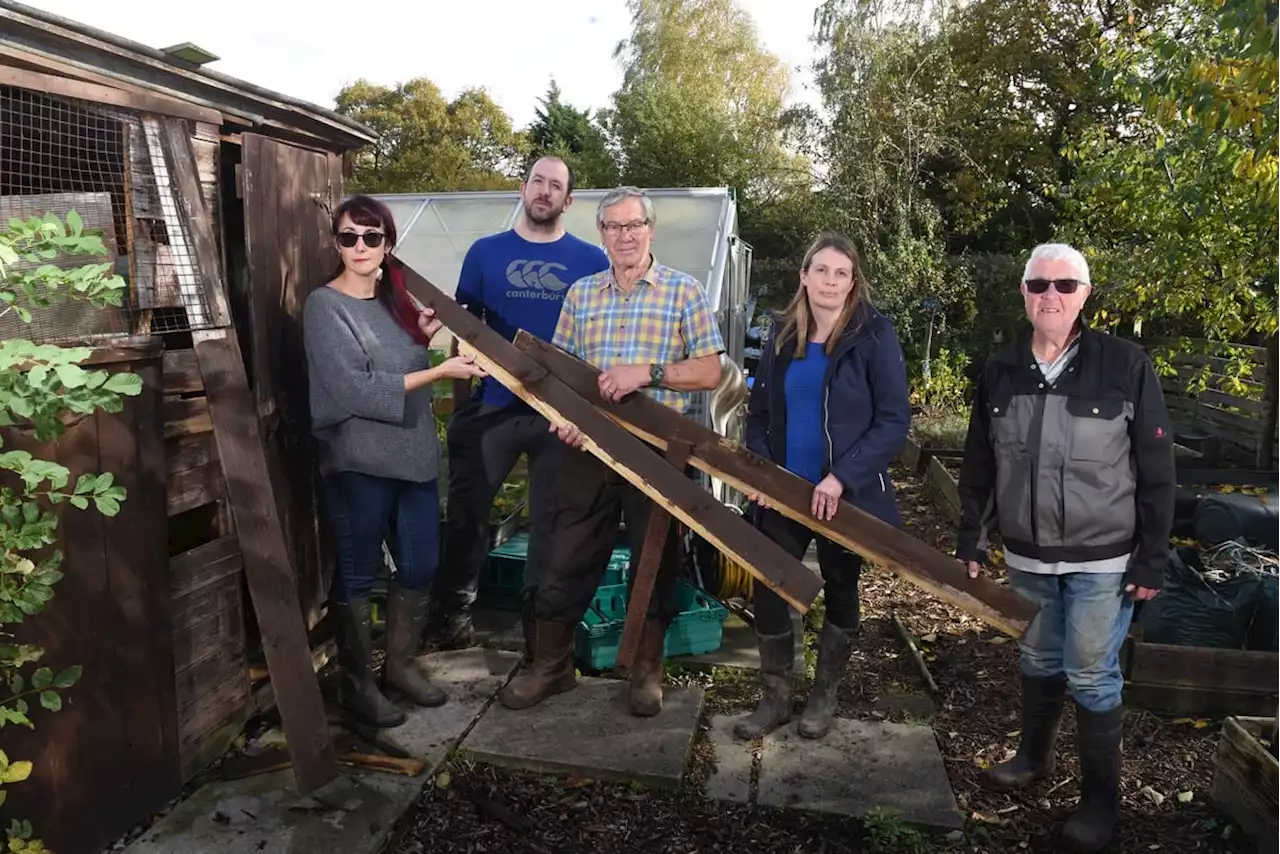 Bamber Bridge allotments wrecked in 'overnight raid by kids' as spate of attacks continues