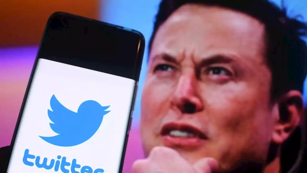 Elon Musk face au casse-tête de la modération de Twitter