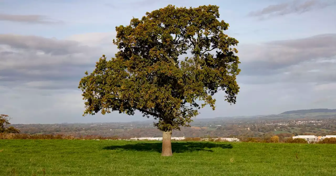 Worries over future of village that is the 'lungs between Preston and Blackburn'