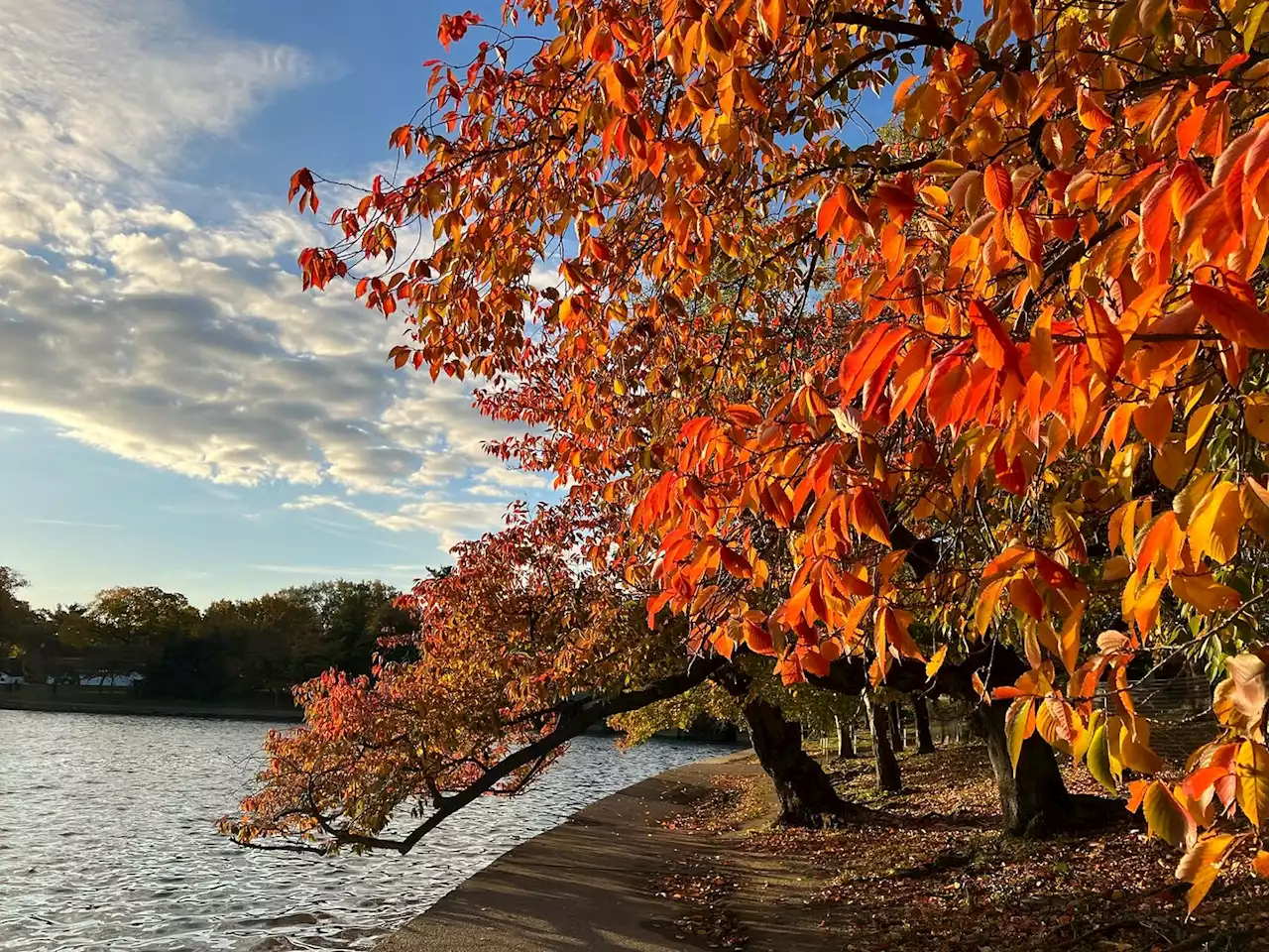 D.C.-area forecast: Classic fall today, with more clouds tomorrow