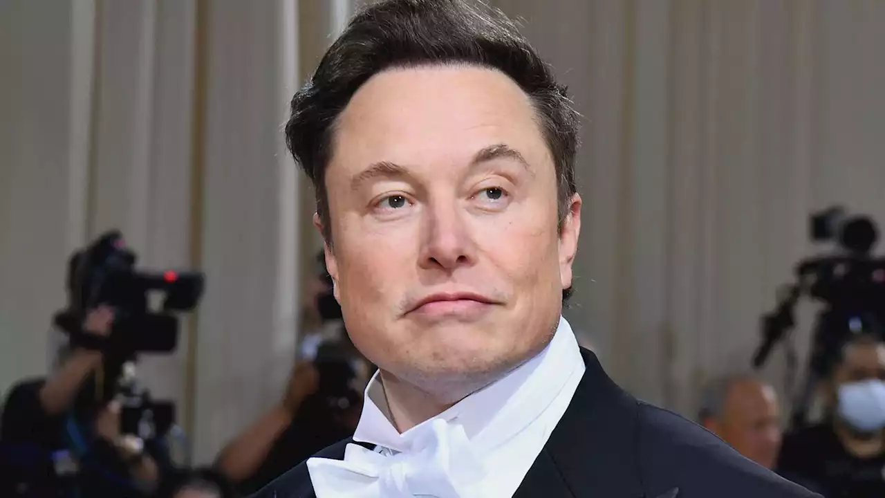 Und es ward Chaos: Twitter-Mitarbeiter berichten von denkwürdigem Tag eins unter Elon Musk