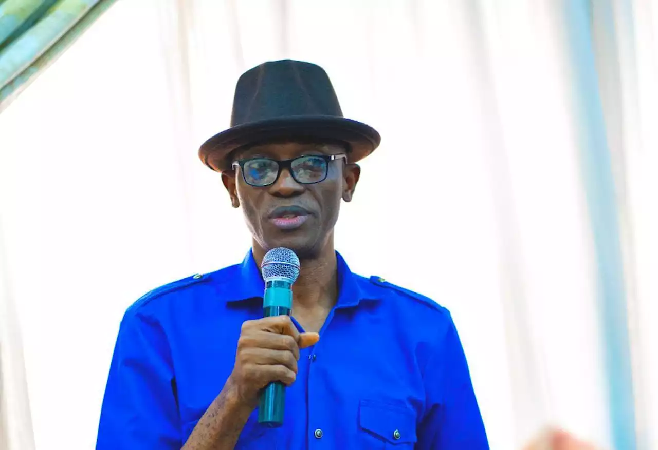 Nigeria can't be handed over to sick leaders in 2023, says LP chairman | TheCable