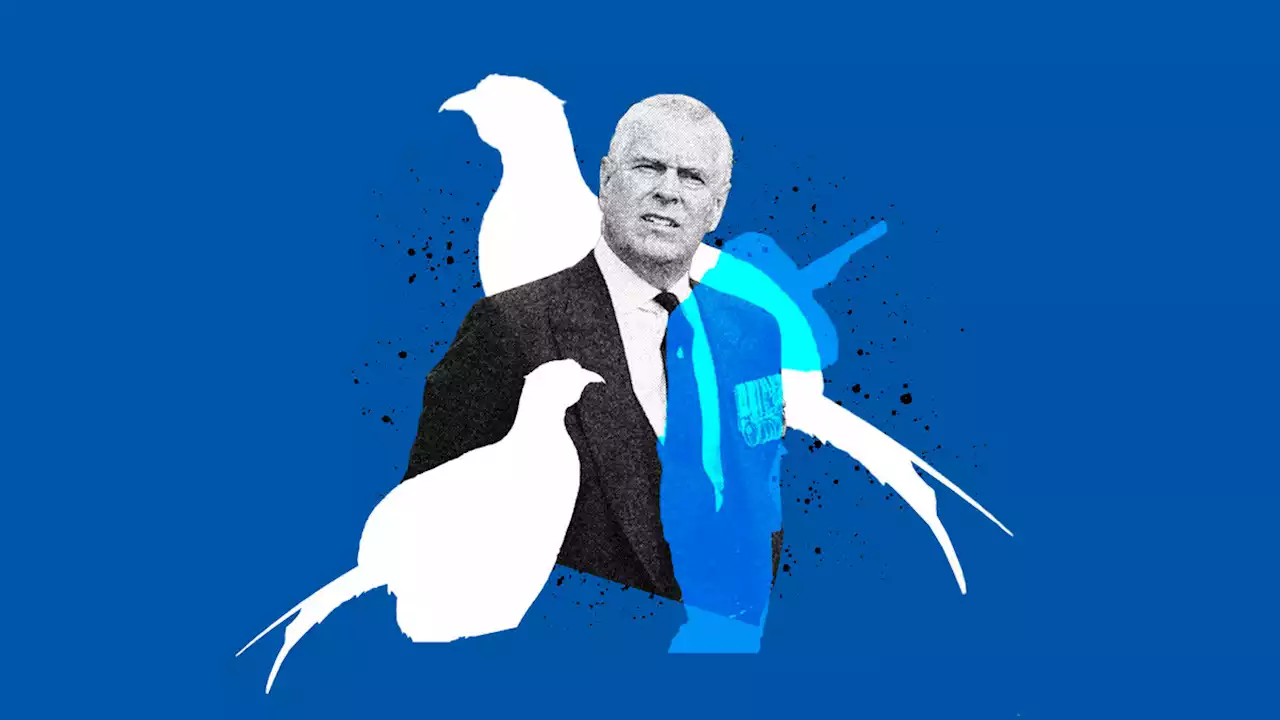 Prince Andrew ‘Relaxed’ About Royal Exclusion, Just Wants to Shoot Birds