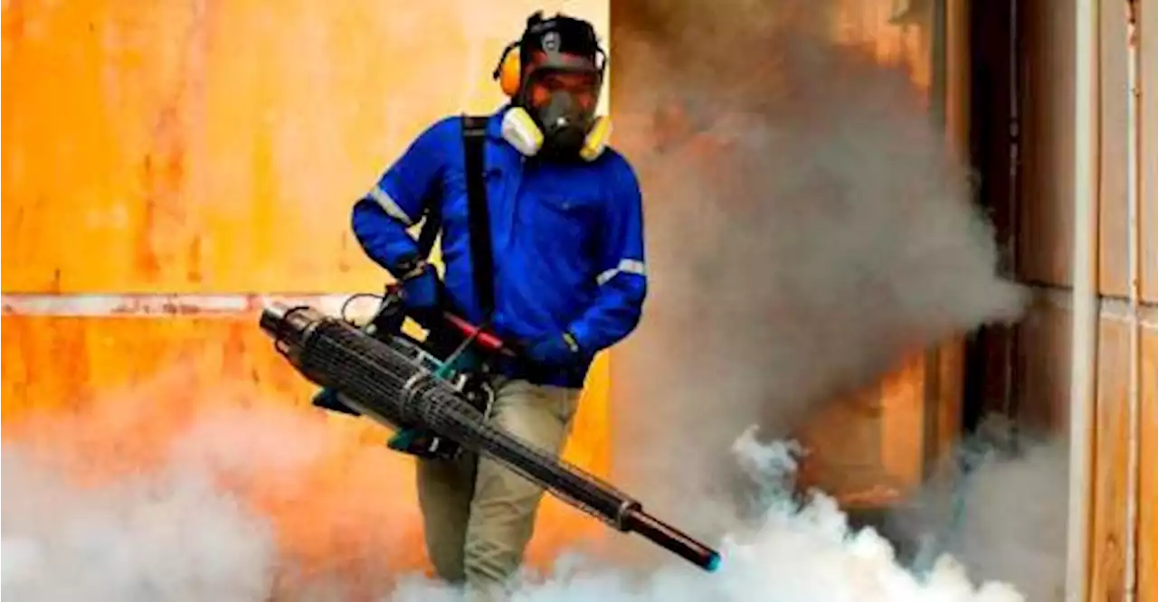 Three-fold increase in dengue cases in Sabah