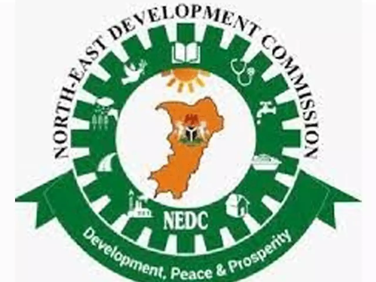 NEDC Donates Food, Non-food Items to Gombe Flood Victims – THISDAYLIVE