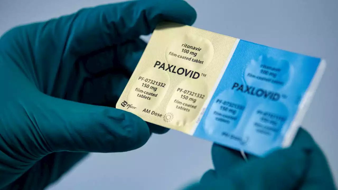 CDC Finds Huge Racial Disparities in Access to COVID Treatment Paxlovid