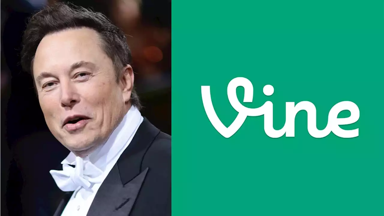 At Twitter, Elon Musk Should Bring Back Vine