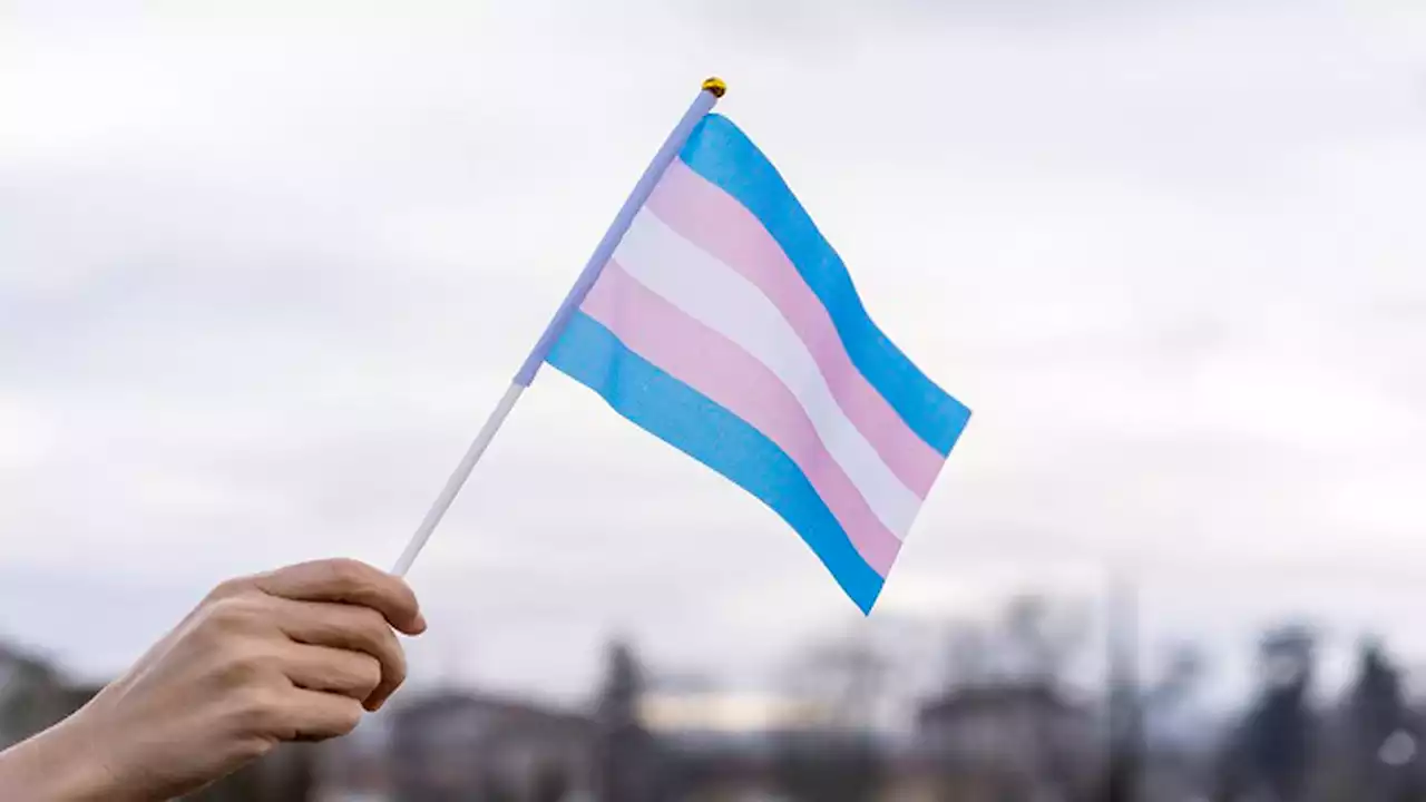 Transgender youth care ban moved forward by Florida medical board committee