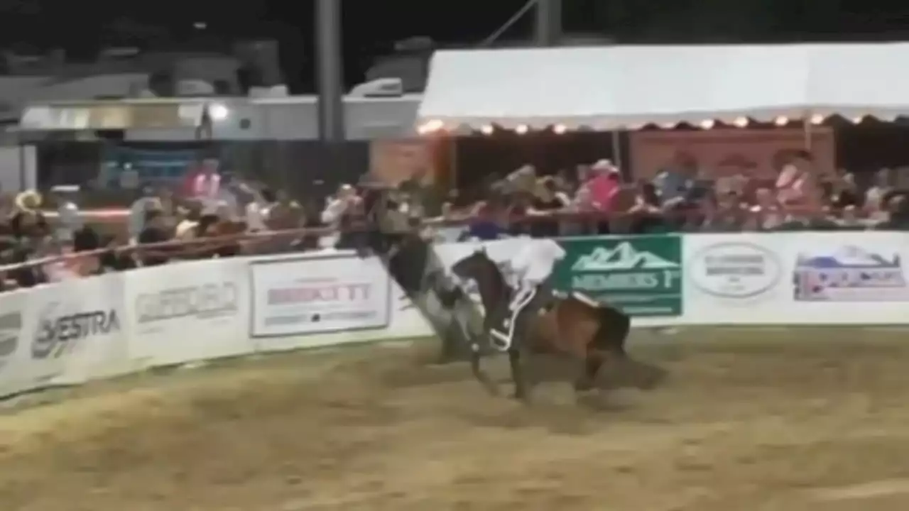 Woman rammed by bull at CA rodeo credits animal for saving her life after finding cancer