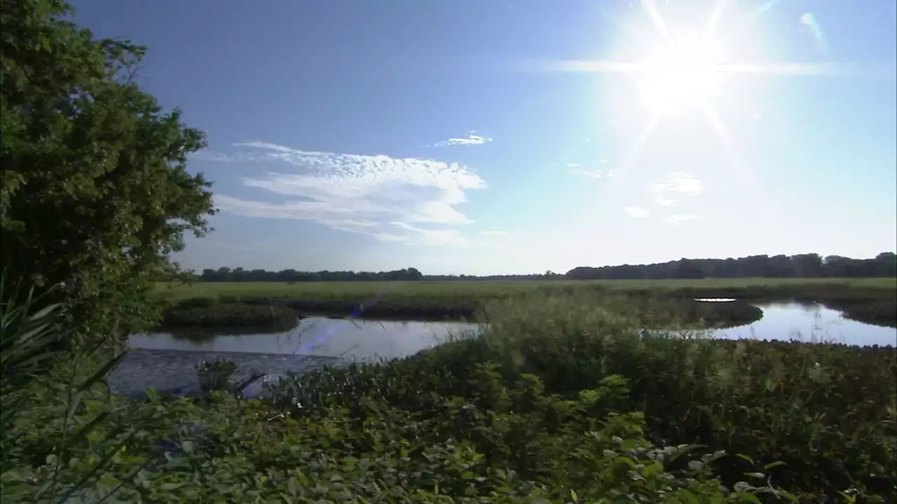 Check out John Heinz National Wildlife Refuge, America's First Urban Refuge